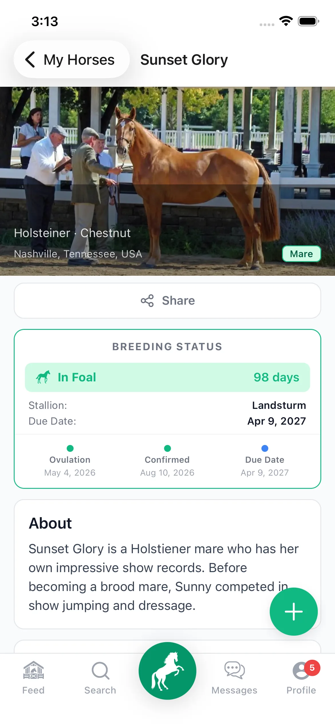 A mare's breeding status in StallionApp — in foal at 98 days to a named stallion, with ovulation, confirmation and due dates