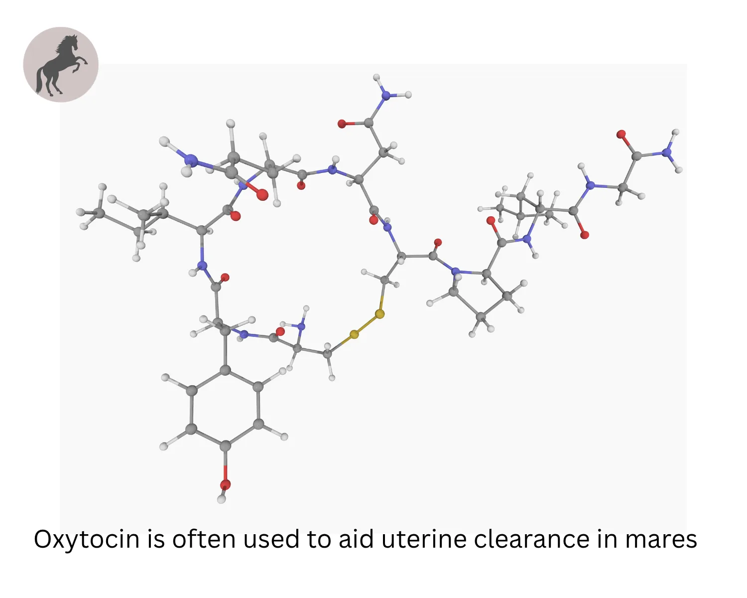 Oxytocin is often used to aid uterine clearance in mares.