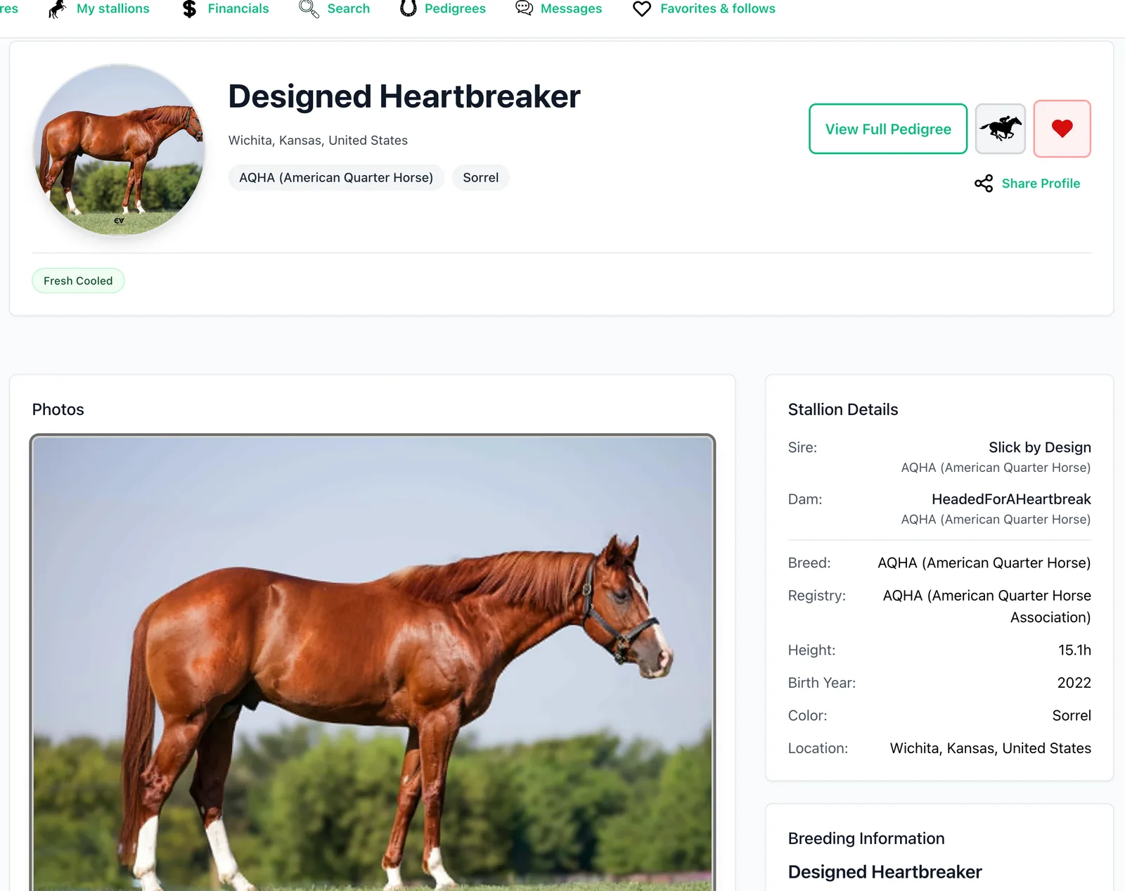 A strong conformation shot doing its job on a stallion's StallionApp profile.