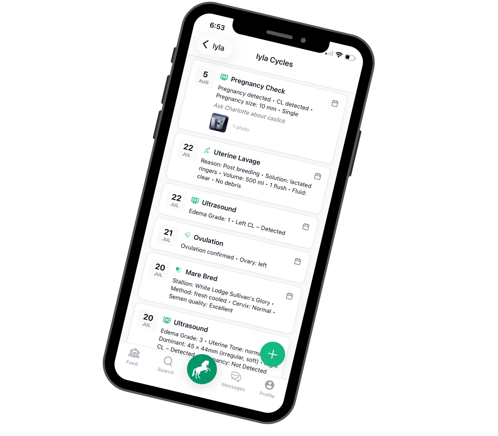 A mare's cycle recorded in StallionApp — ultrasounds with edema grade, uterine tone and follicle size, the breeding, ovulation, a post-breeding uterine lavage and the pregnancy check.