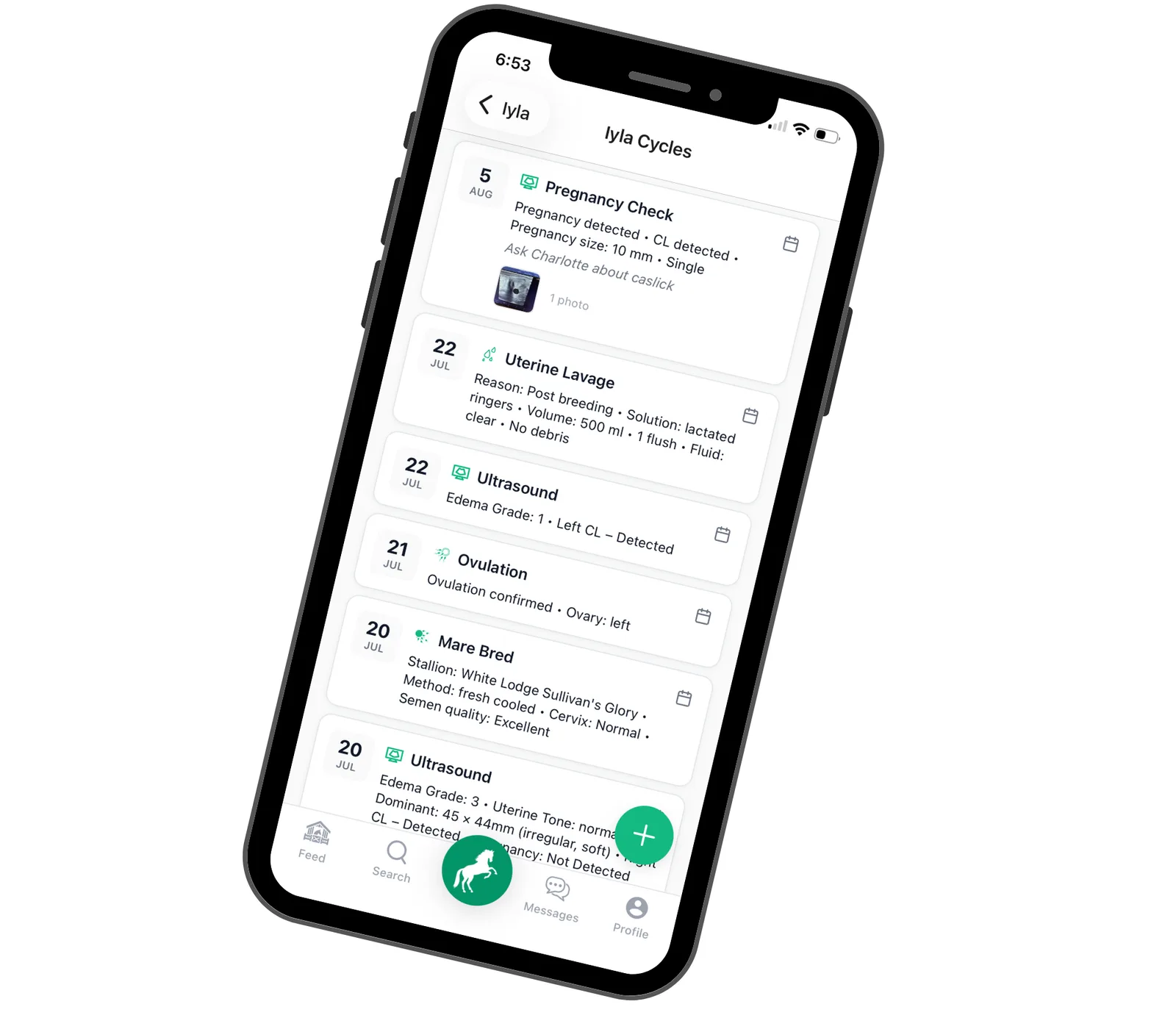 A mare's cycle records in StallionApp — pregnancy check, uterine lavage, ultrasound, ovulation and breeding on one timeline