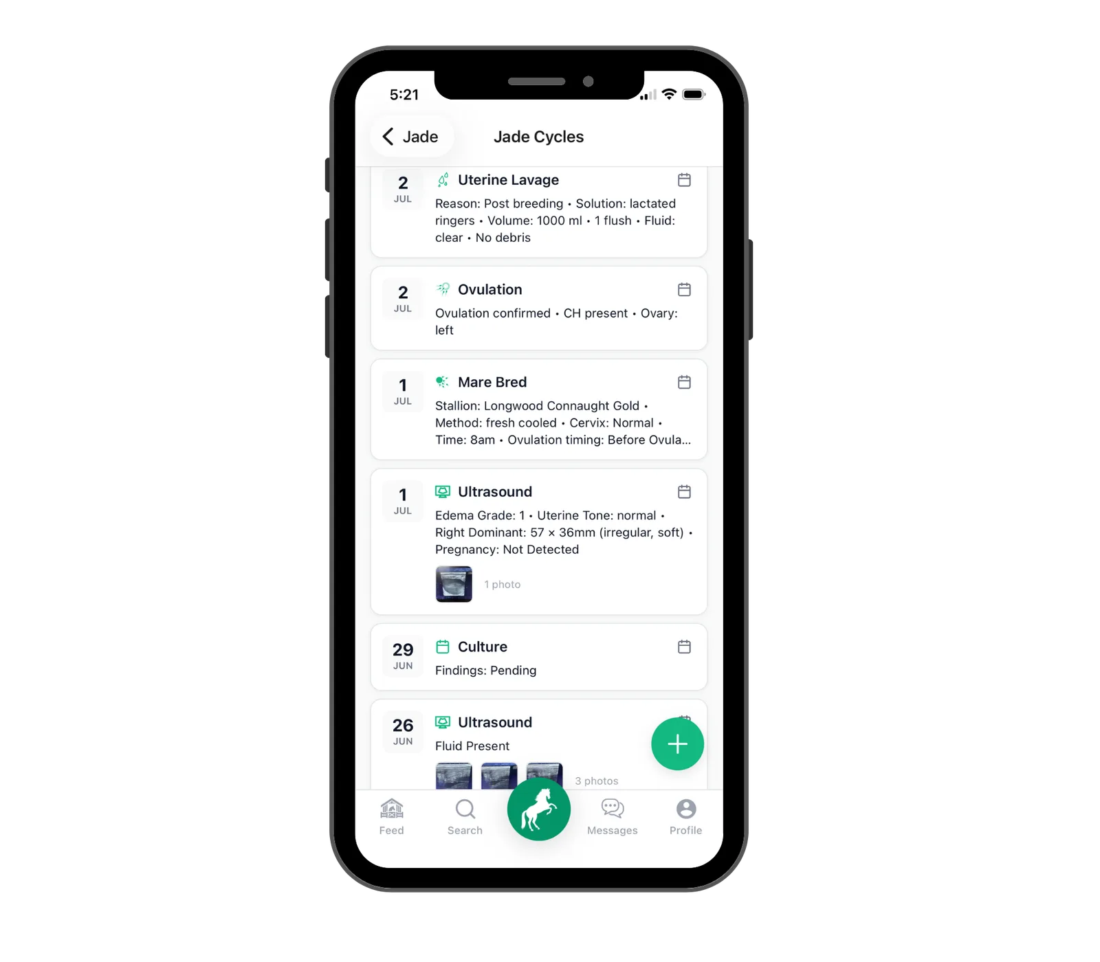 A mare's cycle records in StallionApp — ultrasounds, ovulation, breeding and lavage on one timeline